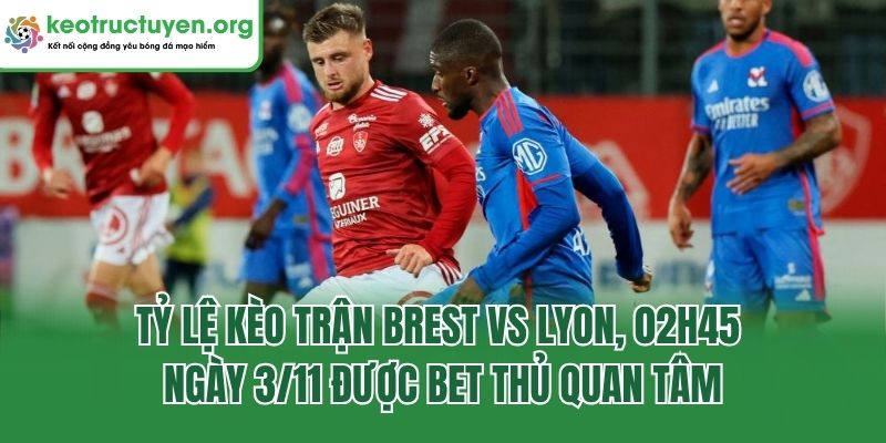 Tỷ lệ kèo trận Brest vs Lyon, 02h45 ngày 3/11 được bet thủ quan tâm