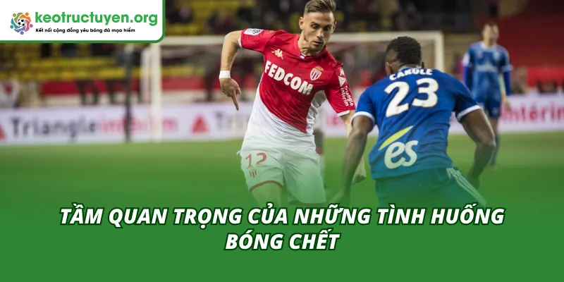 Phân Tích Kết Quả Bóng Đá Strasbourg vs Monaco 06/02 Tầm quan trọng của những tình huống trong trận Strasbourg vs Monaco 06/02