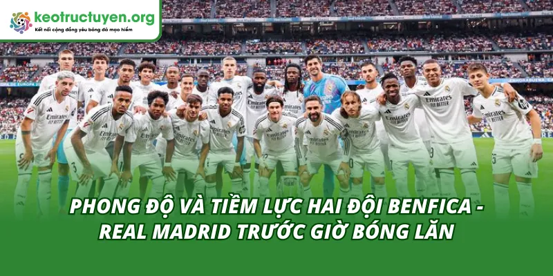 Phong đội hai đội trong tỷ lệ kèo trận Benfica - Real Madrid 18/02